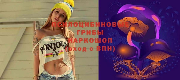 ГАЛЛЮЦИНОГЕННЫЕ ГРИБЫ Зеленокумск