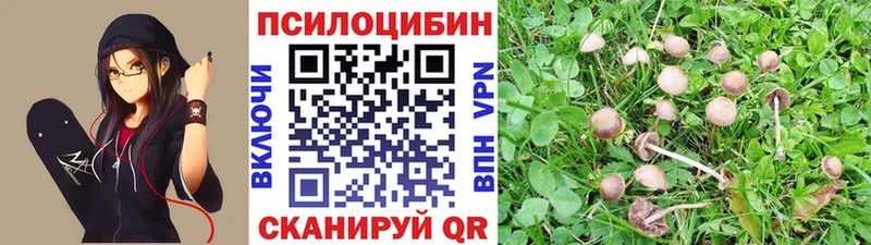 Галлюциногенные грибы мицелий  Купить где  Карасук 